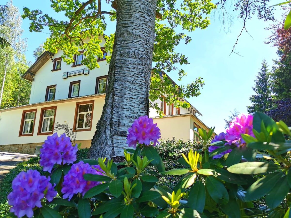 Waldhaus Anna - Garten