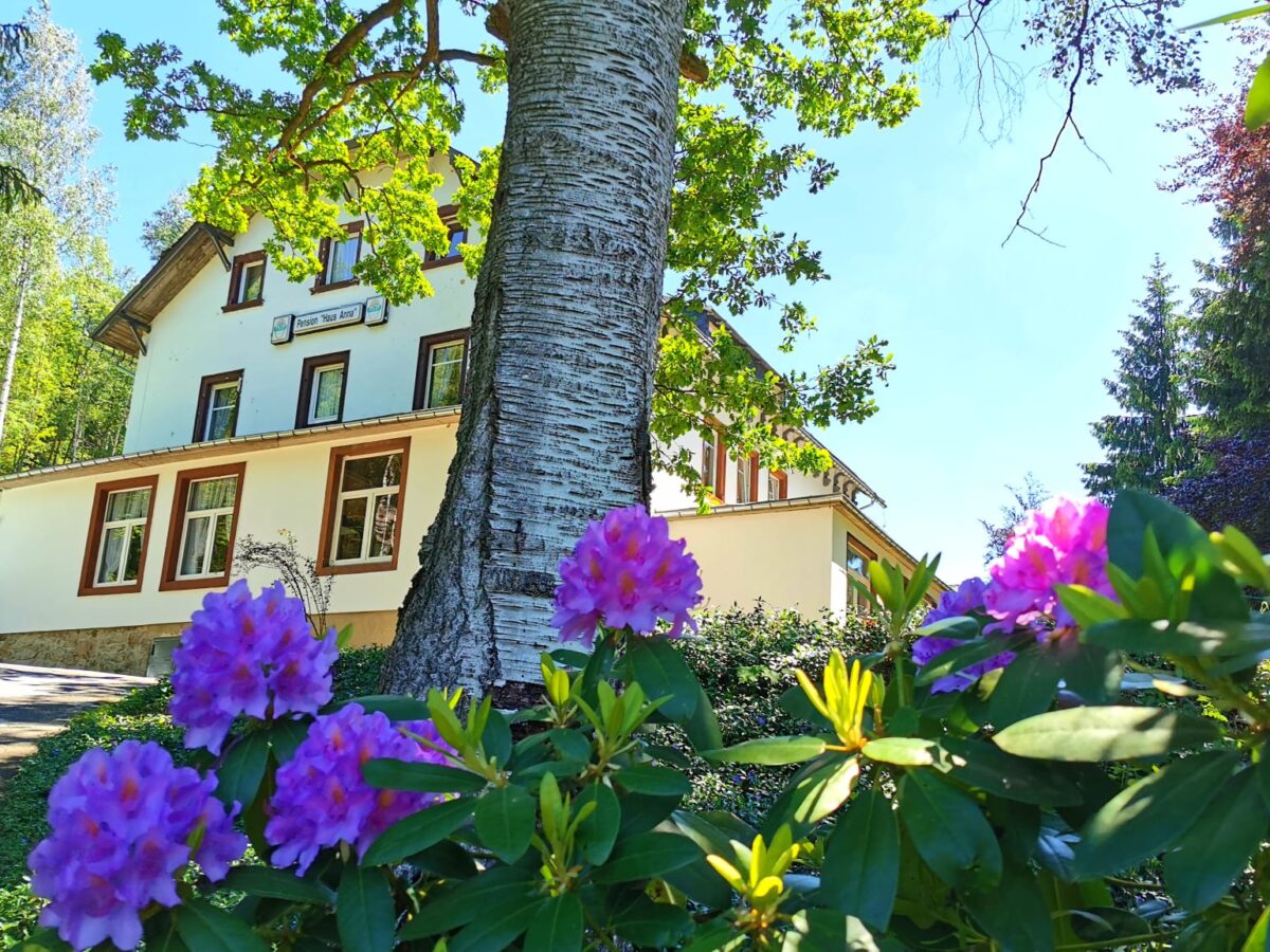Waldhaus Anna - Pension