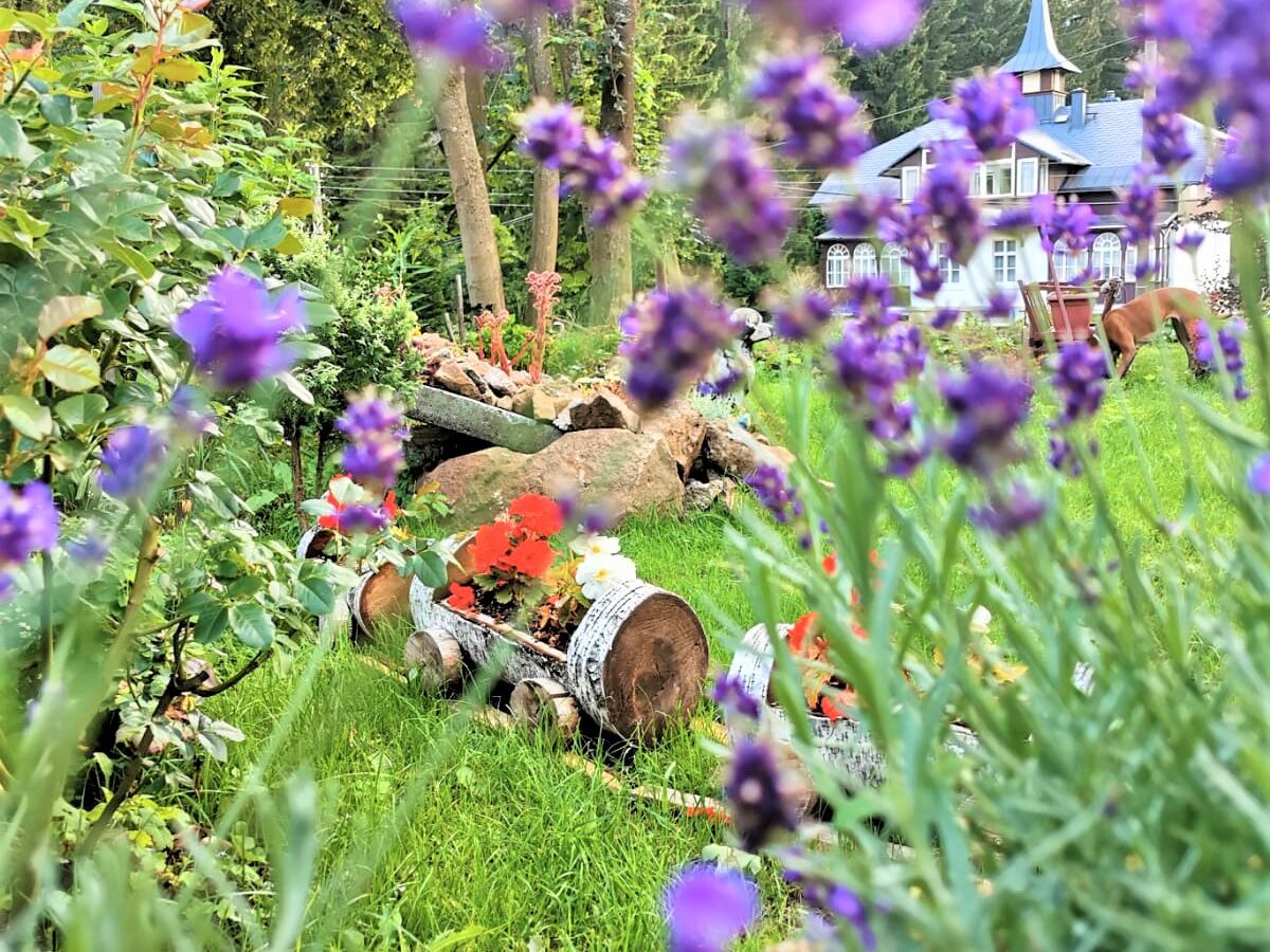 Waldhaus Anna - Garten