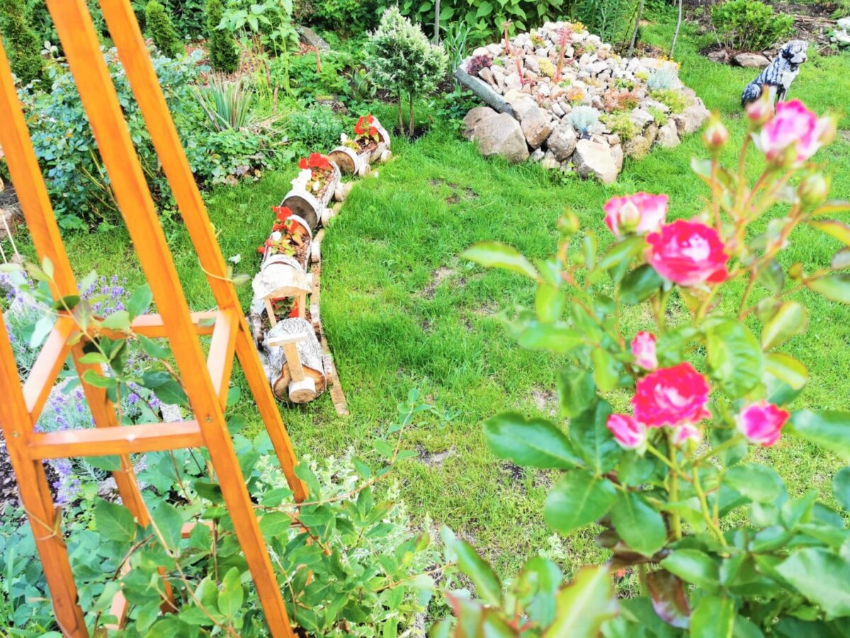 Waldhaus Anna - Garten