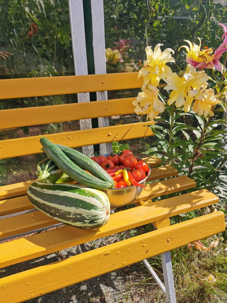 Gartengewächshaus mit Kräutern und Gemüse