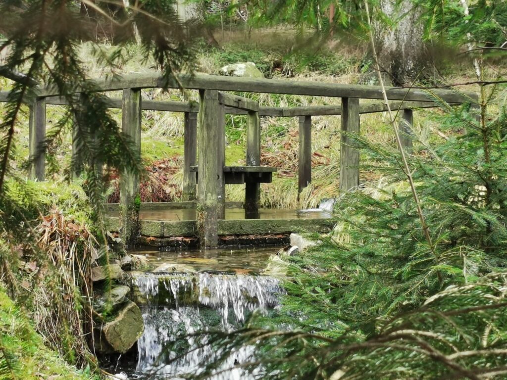 Kneipp Fussbaden