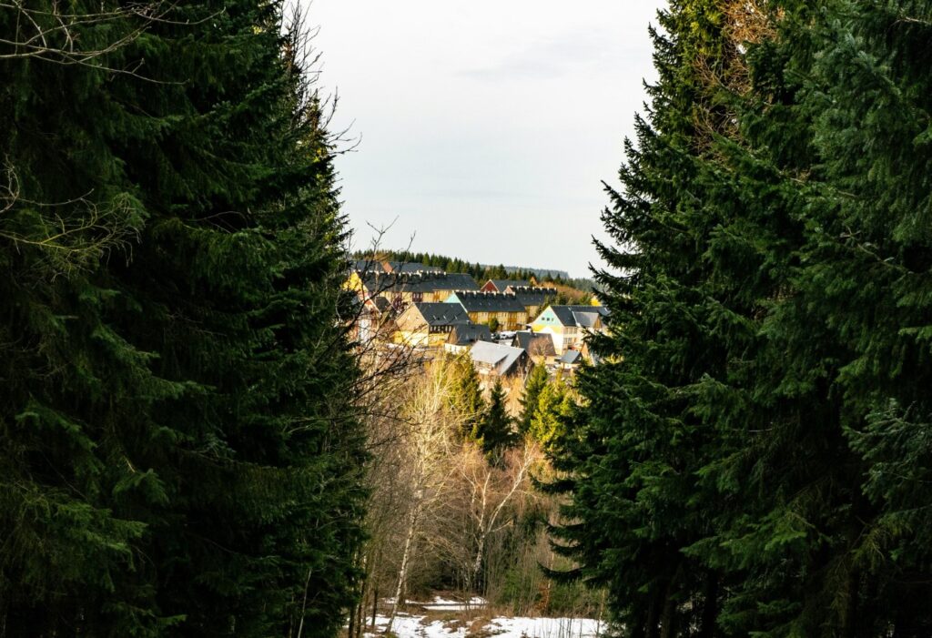 Bergstadt Altenberg
